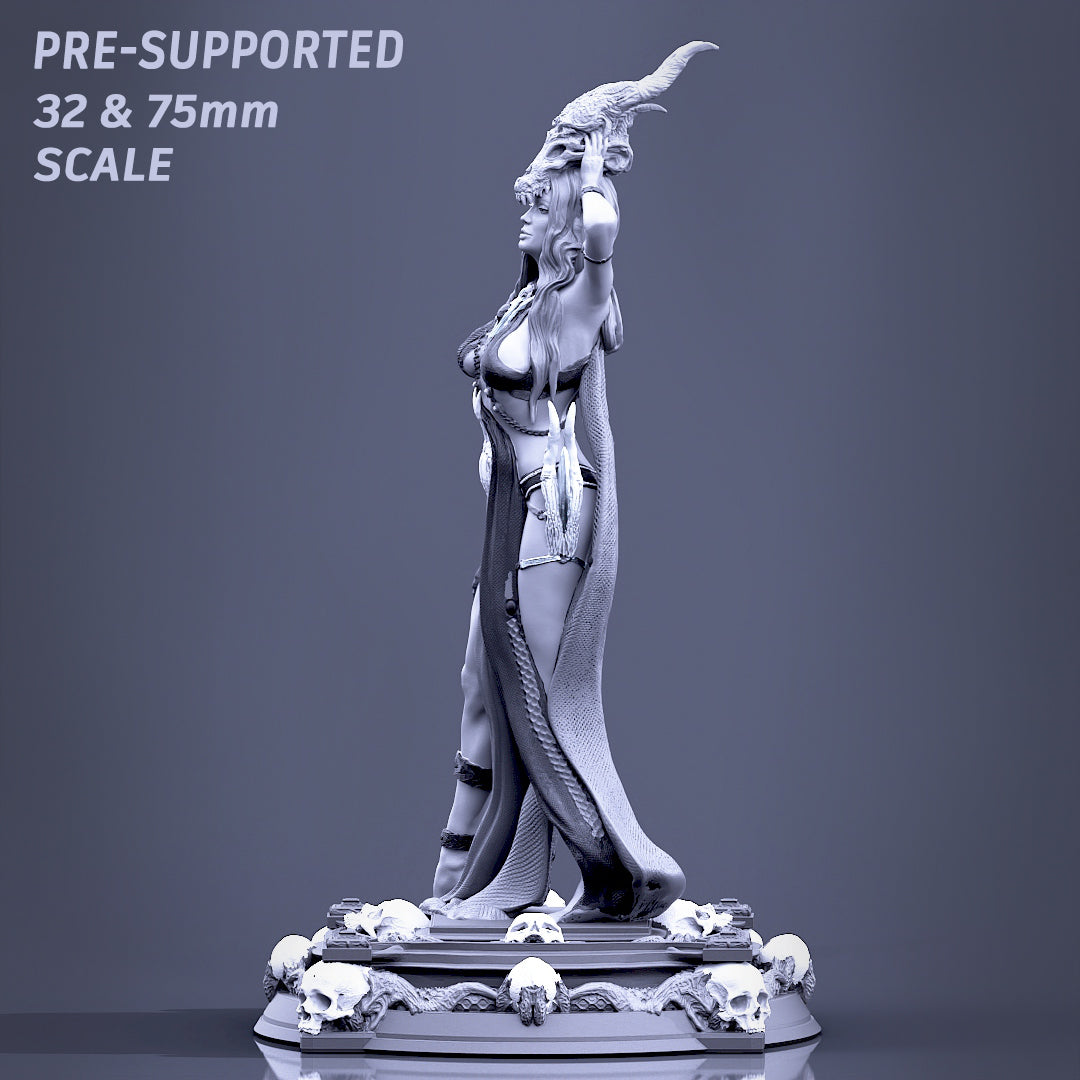 Printomancer - Boneflesh Necromancer - 32/75mm Pin Up/Figure/Model/Diorama