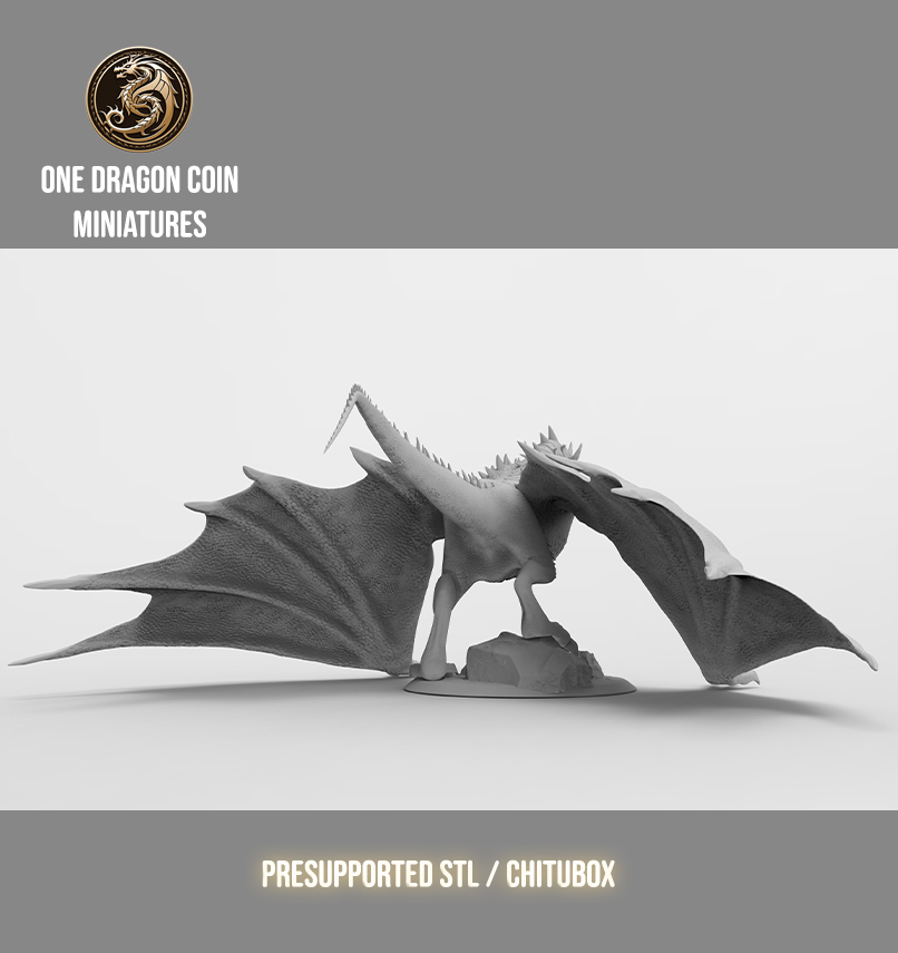 One Dragon Coin - Scaledur #1 - DnD/TTRPG Figure/Miniature