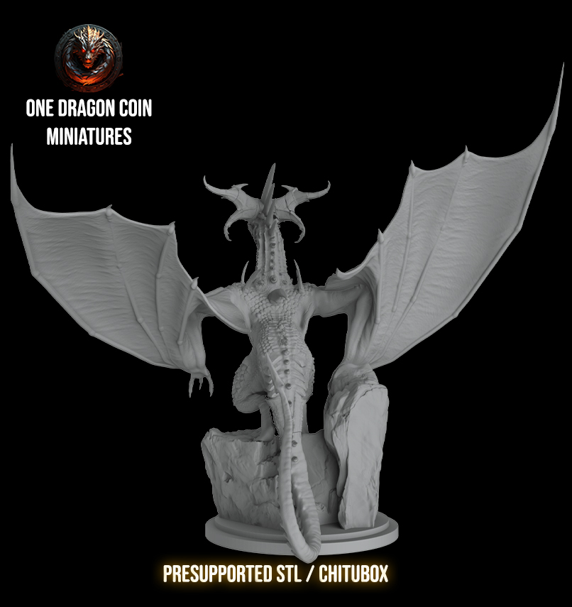 One Dragon Coin - Kerdamos - DnD/TTRPG Figure/Miniature