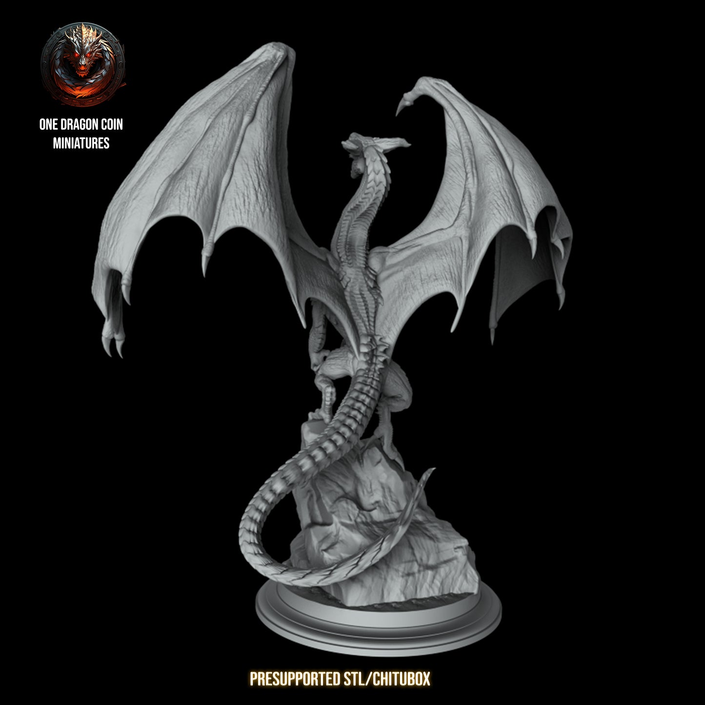 One Dragon Coin - Glordan - DnD/TTRPG Figure/Miniature