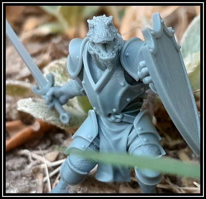 STL - Dragonborn Fighter - DnD/TTRPG Figure/Miniature