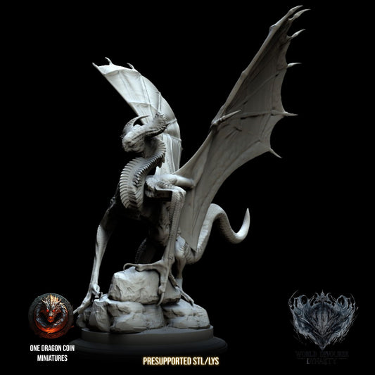 One Dragon Coin - Vernax - DnD/TTRPG Figure/Miniature