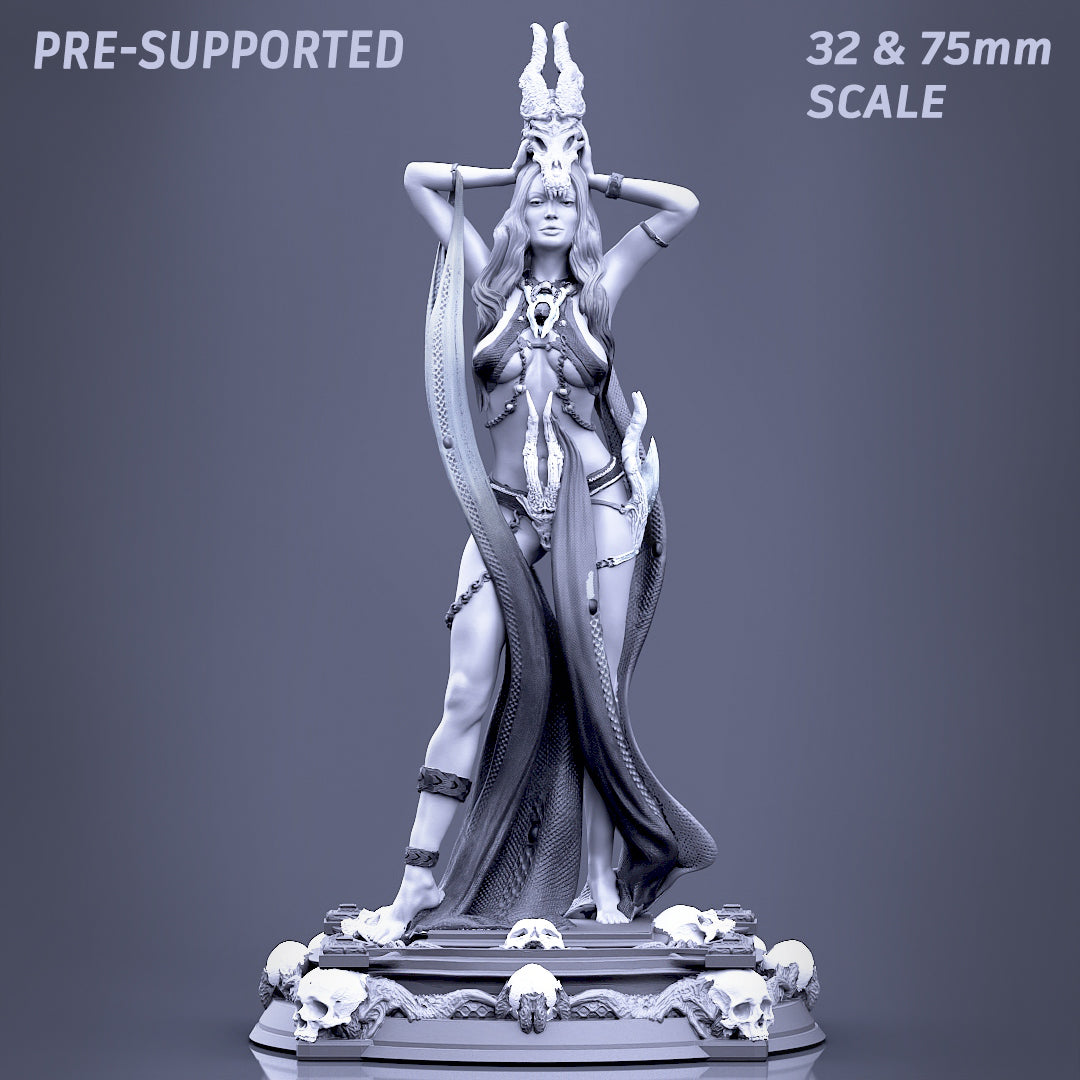 Printomancer - Boneflesh Necromancer - 32/75mm Pin Up/Figure/Model/Diorama