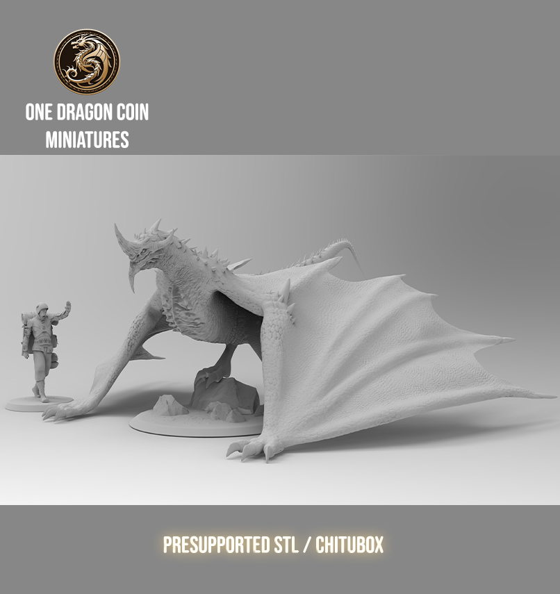 One Dragon Coin - Scaledur #1 - DnD/TTRPG Figure/Miniature
