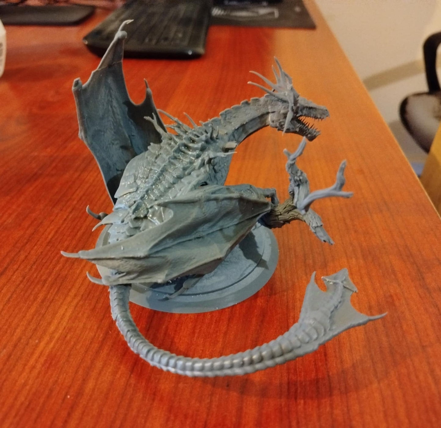 One Dragon Coin - Sargath - DnD/TTRPG Figure/Miniature