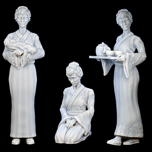 YourNeighborKnight - Bushido 3 - Housewife - DnD/TTRPG Figure/Miniature