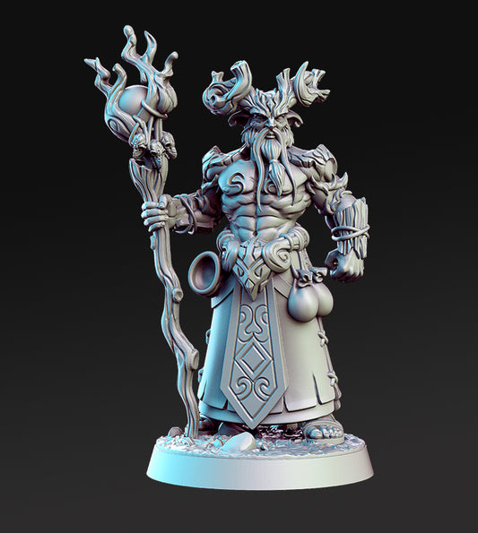 RN Estudio - Magic Forest - Aerlin - DnD/TTRPG Figure/Miniature
