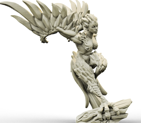 Brayan Nafarrate - Bestiary #4 - Harpy #1 - DnD/TTRPG Figure/Miniature