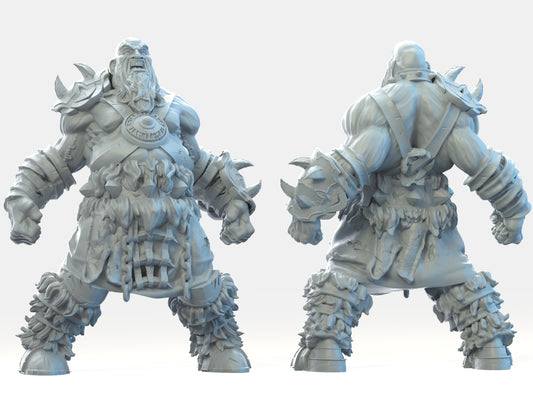 Brayan Nafarrate - Bestiary #2 - Frost Giant #2 - DnD/TTRPG Figure/Miniature