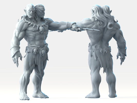 Brayan Nafarrate - Bestiary #2 - Ettin #3 - DnD/TTRPG Figure/Miniature