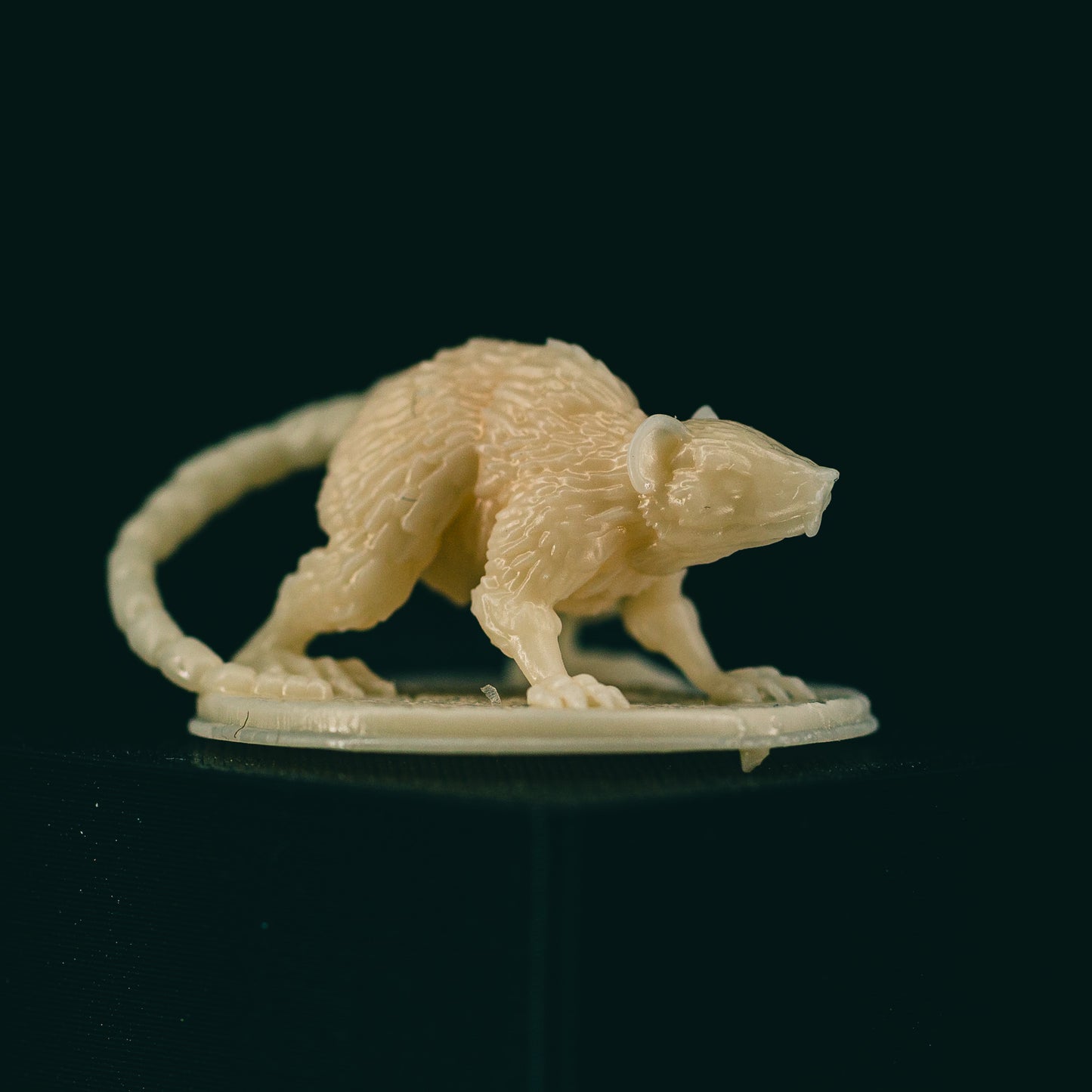 Brayan Nafarrate - Bestiary #2 - Giant Rat - DnD/TTRPG Figure/Miniature