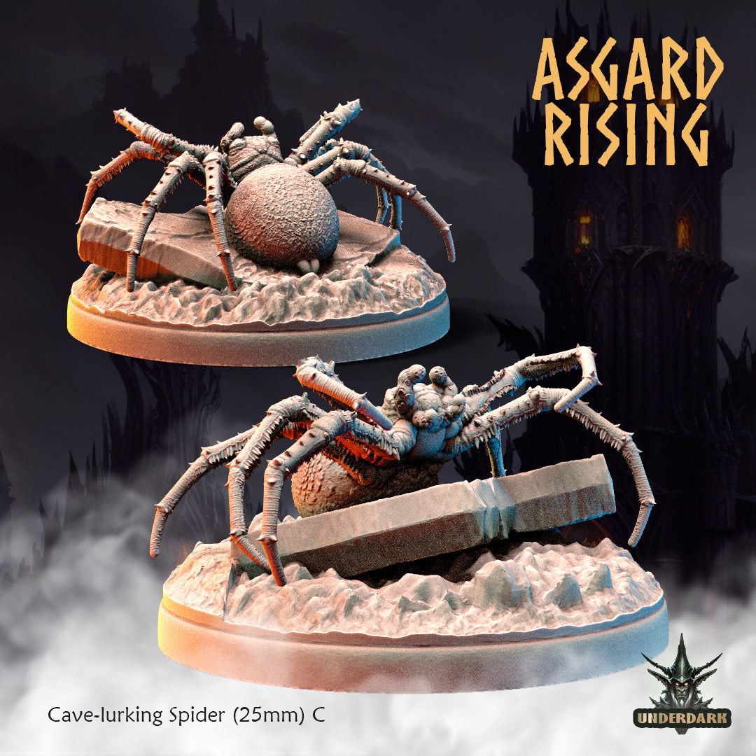 Asgard Rising - Underdark - Cave Spider #1 - DnD/TTRPG Figure/Miniature
