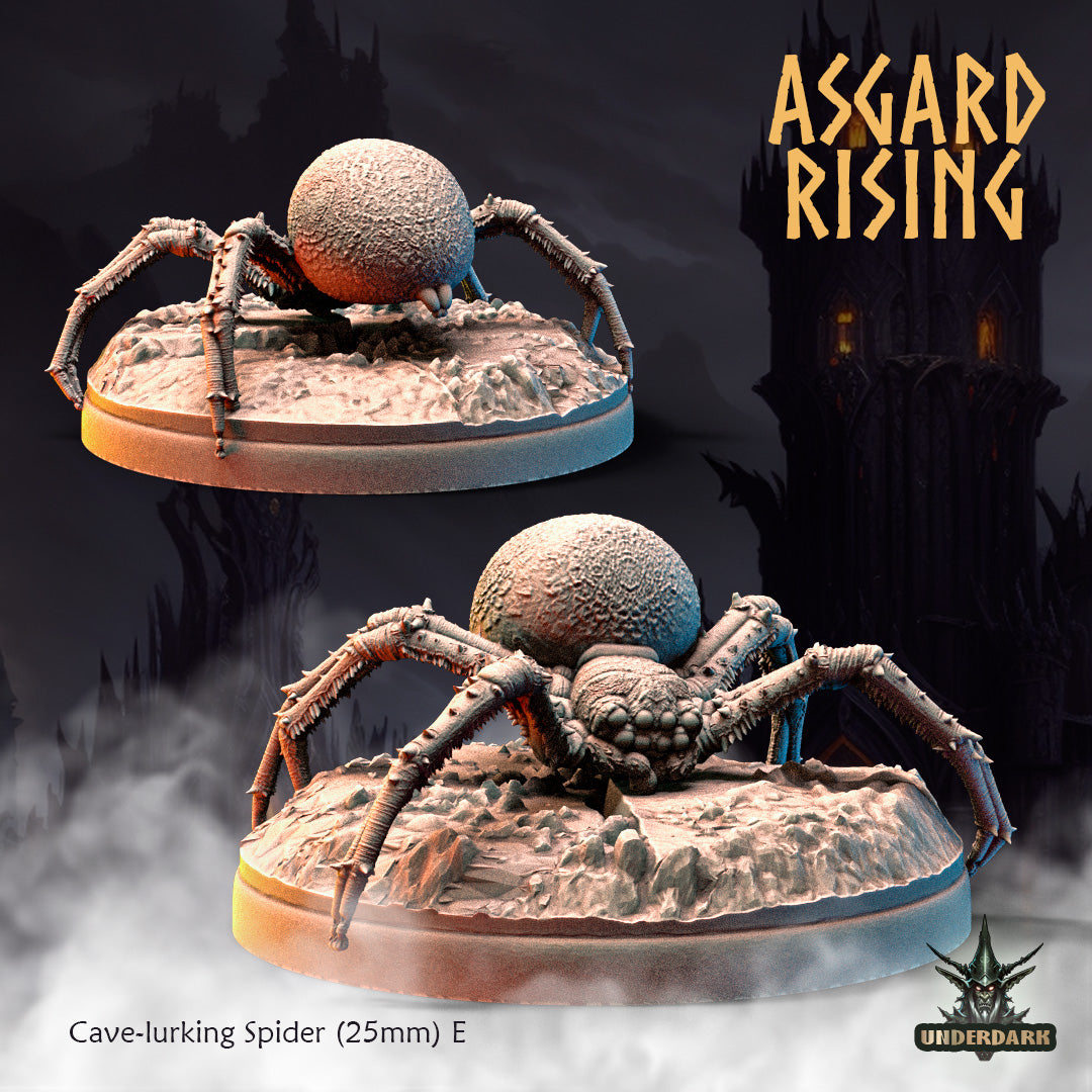 Asgard Rising - Underdark - Cave Spider #1 - DnD/TTRPG Figure/Miniature