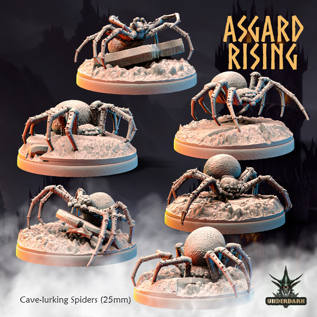 Asgard Rising - Underdark - Cave Spider #1 - DnD/TTRPG Figure/Miniature