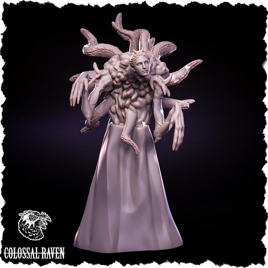Colossal Raven - Demon Witch #5 - DnD/Pathfinder/TTRPG Figure