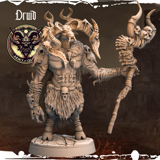 Monolith Arts - Beasts - Druid #11 - DnD/TTRPG Figure/Miniature