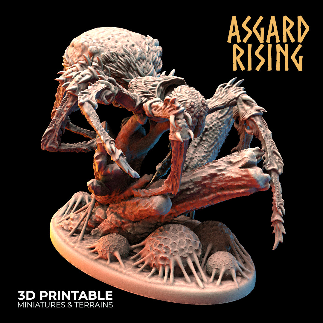Asgard Rising - Underdark - Forest Spider - DnD/TTRPG Figure/Miniature