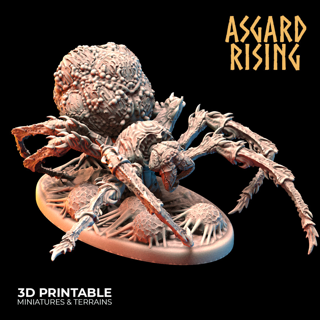 Asgard Rising - Underdark - Forest Spider - DnD/TTRPG Figure/Miniature