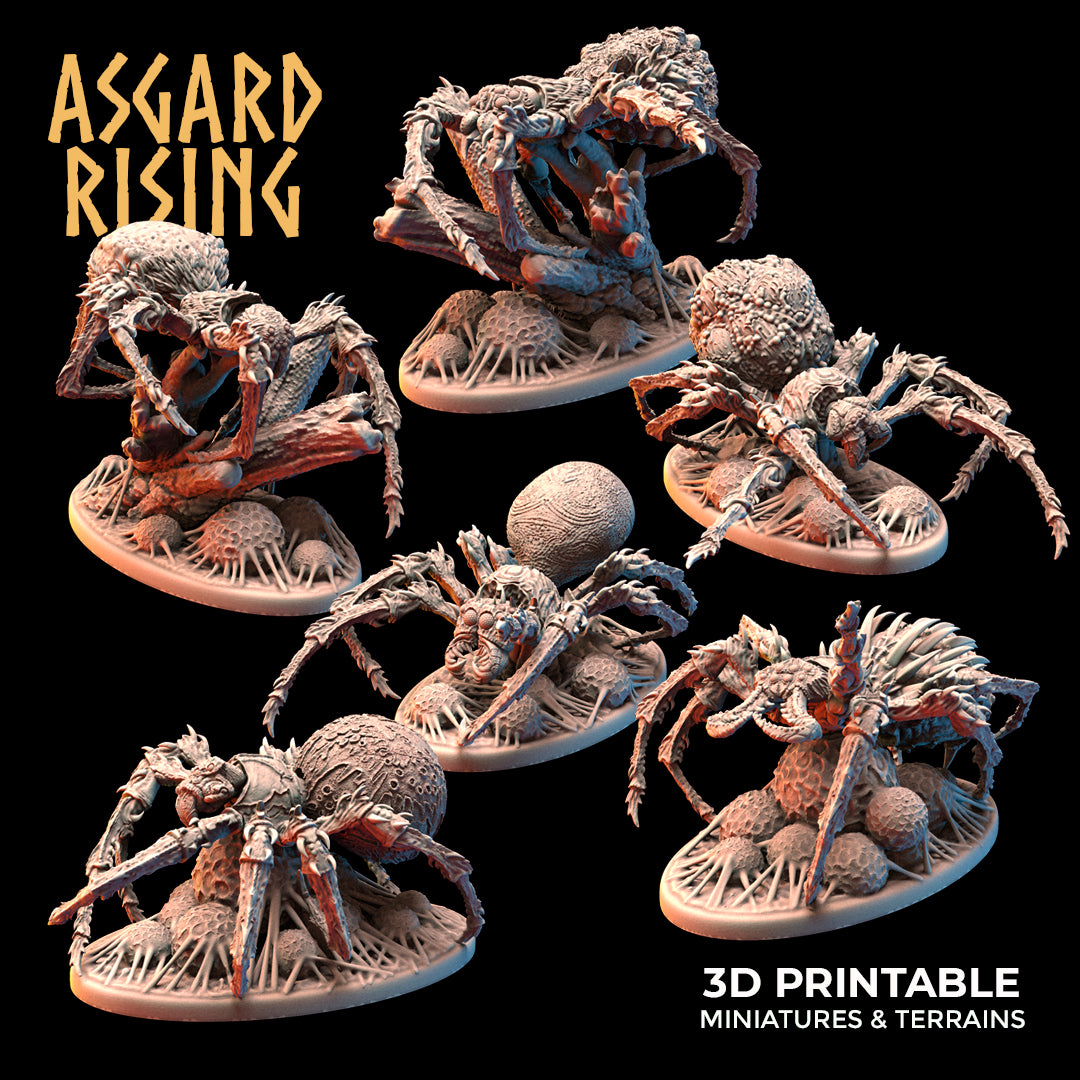 Asgard Rising - Underdark - Forest Spider - DnD/TTRPG Figure/Miniature