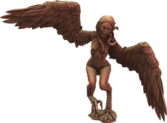 Crippled God Foundry - Shadowcurse - Harpy #2 - DnD/TTRPG Figure/Miniature