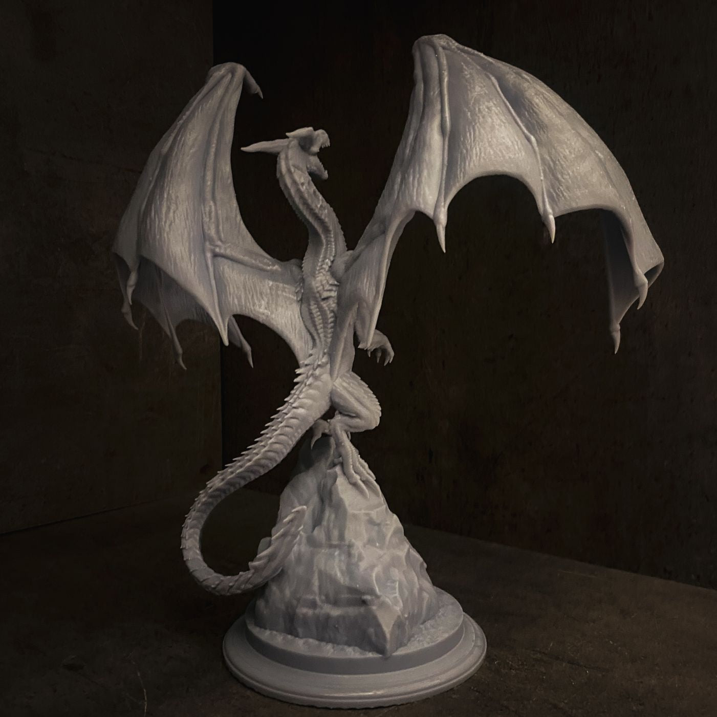 One Dragon Coin - Glordan - DnD/TTRPG Figure/Miniature