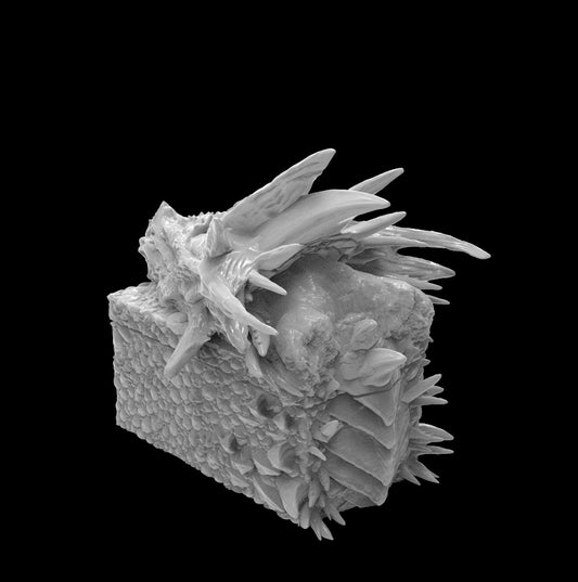 Possibly Cool Dice Box/Case - Elder Dragon - DnD/TTRPG/Roleplaying/Wargames