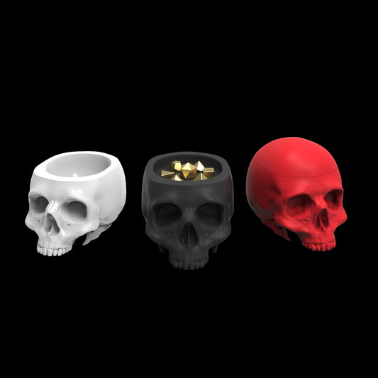 Possibly Cool Dice Box/Case - Skull - DnD/TTRPG/Roleplaying/Wargames