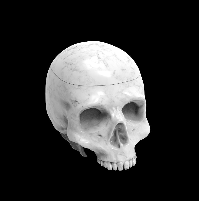 Possibly Cool Dice Box/Case - Skull - DnD/TTRPG/Roleplaying/Wargames