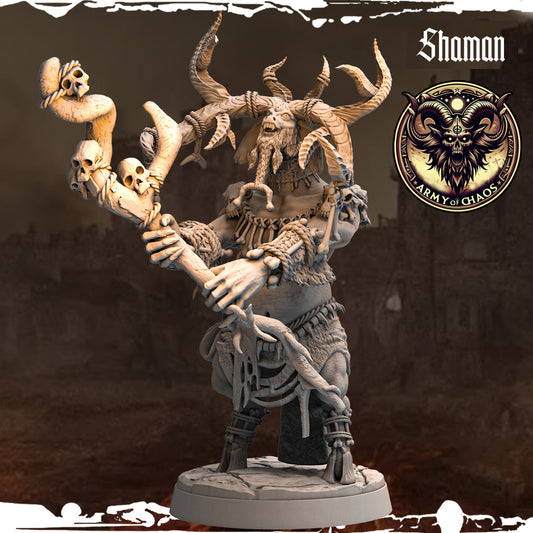 Monolith Arts - Beasts - Shaman #10 - DnD/TTRPG Figure/Miniature