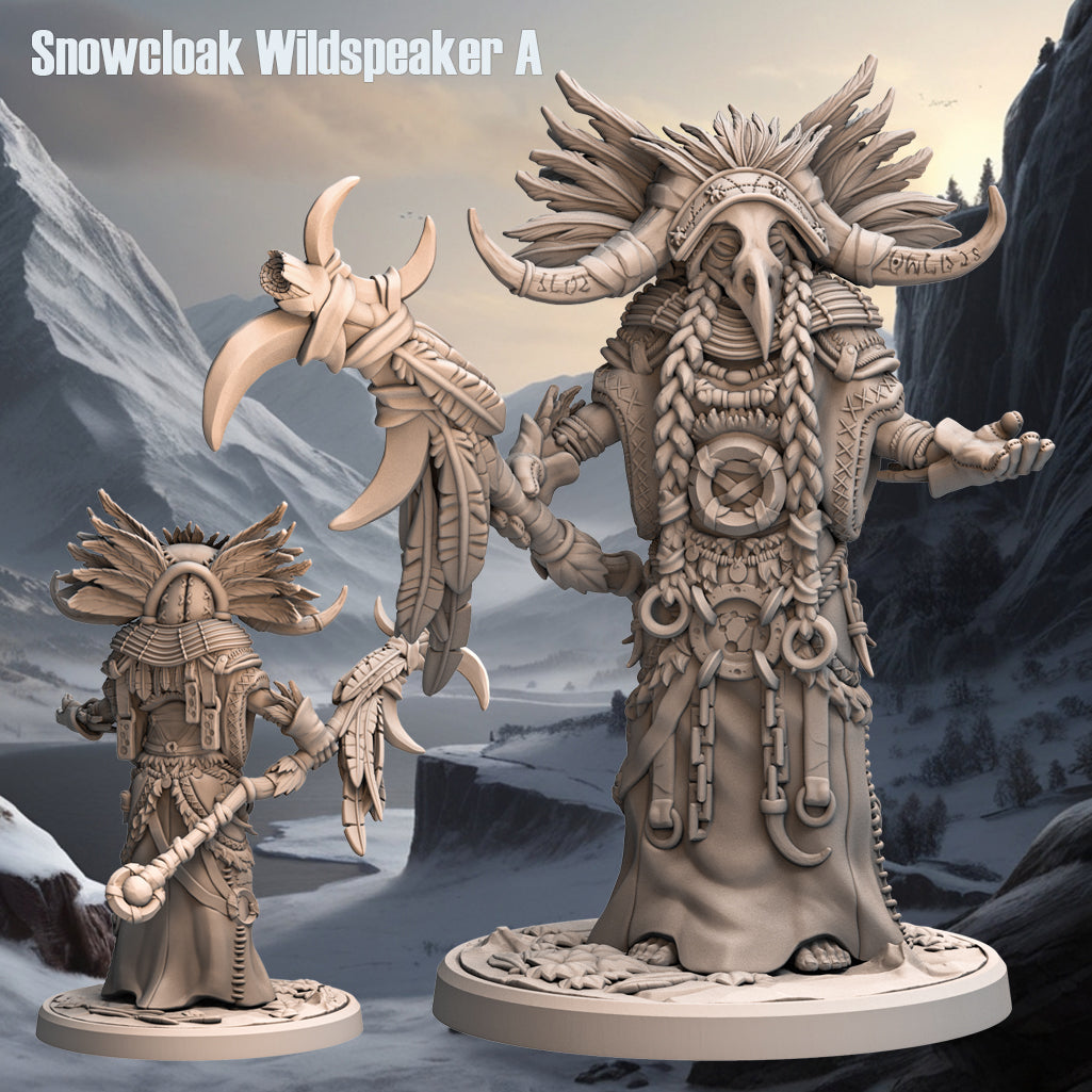 Monolith Arts - Arctic Tribes - Shaman - DnD/TTRPG Figure/Miniature