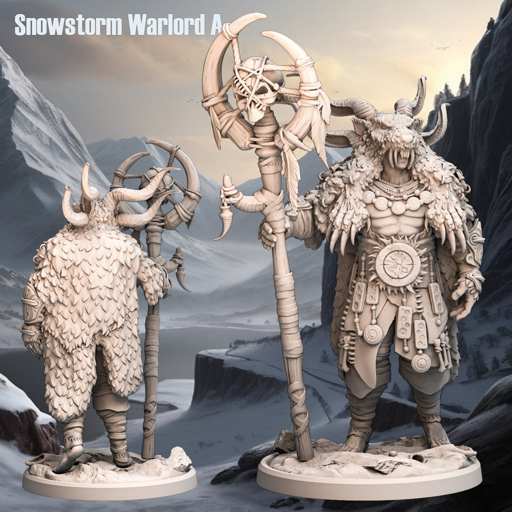 Monolith Arts - Arctic Tribes - Priest - DnD/TTRPG Figure/Miniature