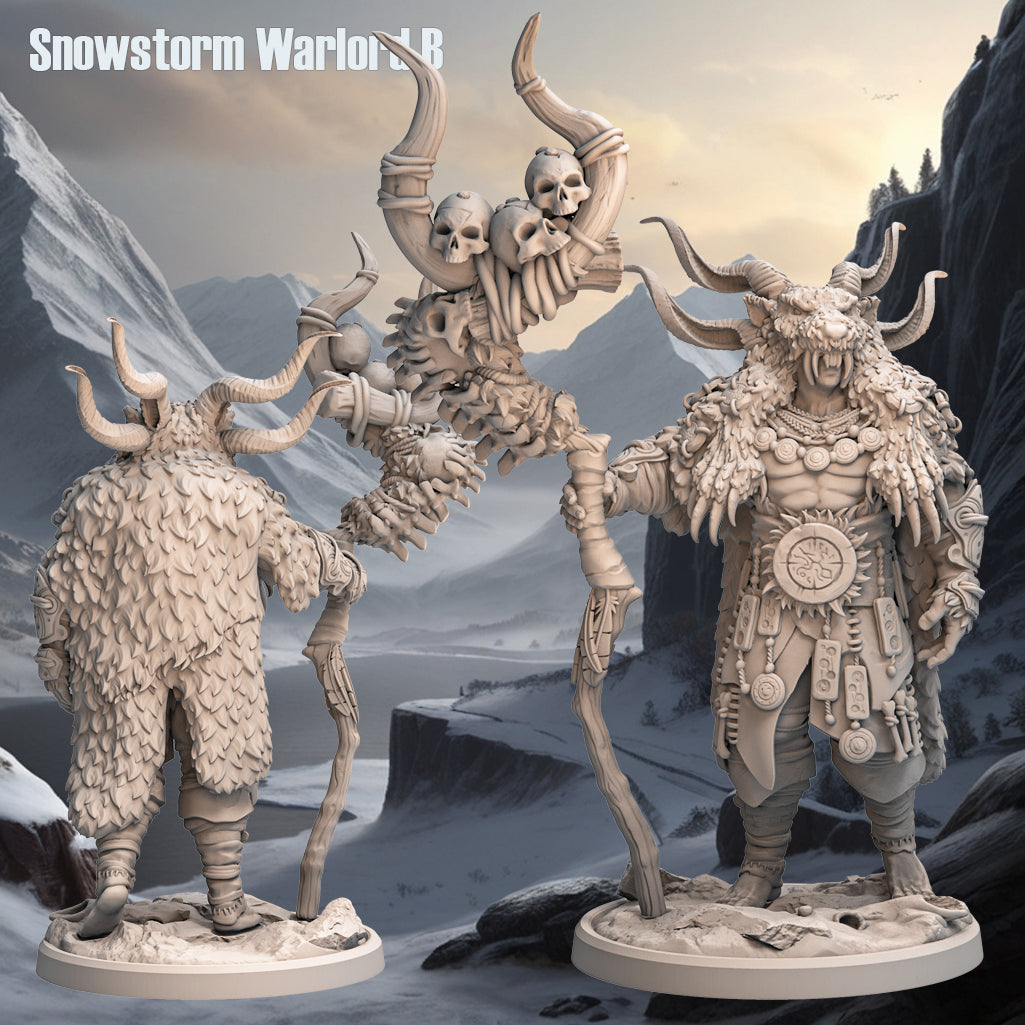 Monolith Arts - Arctic Tribes - Priest - DnD/TTRPG Figure/Miniature