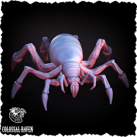 Colossal Raven - Giant Spider #1 - DnD/Pathfinder/TTRPG Figure