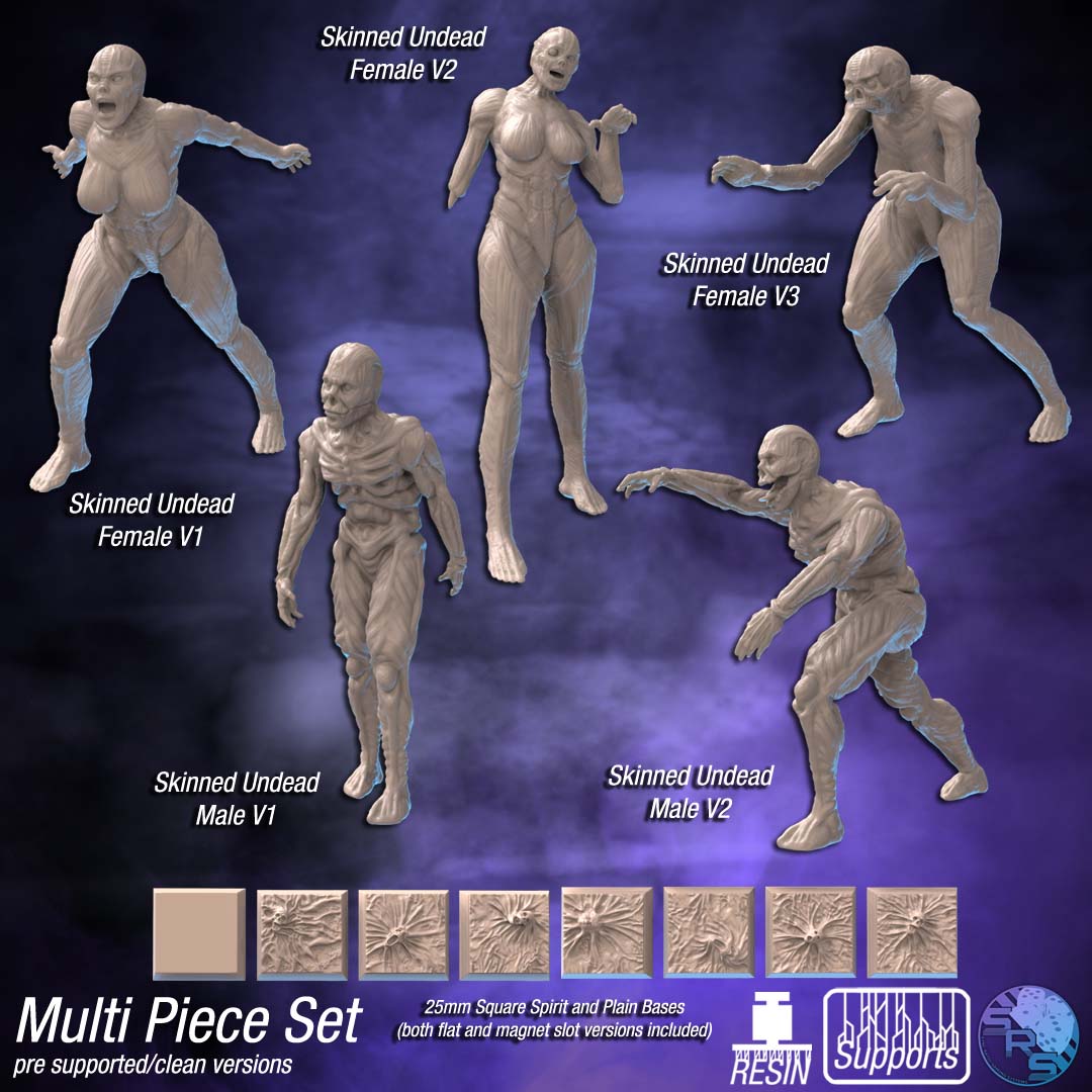 Sync Ratio - Stichghouls - Skinned Undead Female - DnD/TTRPG Figure/Miniature