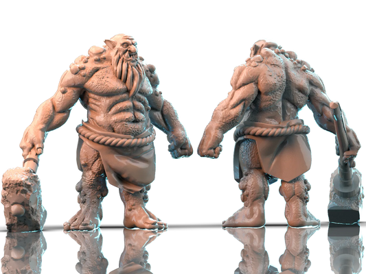 Brayan Nafarrate - Bestiary #1 - Troll - DnD/TTRPG Figure/Miniature