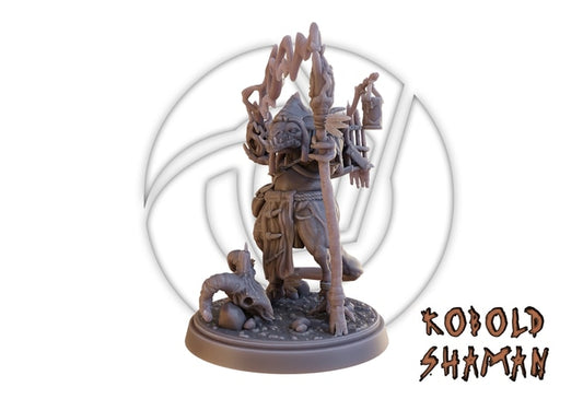 Vortex Studios - Rage of Kobolds - Shaman - DnD/TTRPG Figure/Miniature