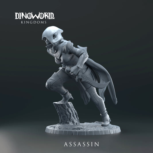 Dinoworld - Kingdoms - Elf Assassin - DnD/Tabletop/TTRPG Figure Miniature
