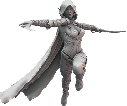 Bunch-O-Minis - Dark Elves of Briarwood - Assassin - DnD/TTRPG Figure/Miniature