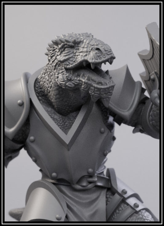 STL - Dragonborn Fighter - DnD/TTRPG Figure/Miniature