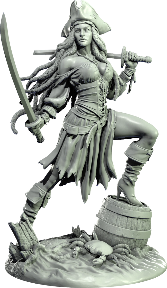 Level 50 Miniatures - Dark Charm II - Pirate - 75/120mm Pin Up/Figure/Model/Diorama