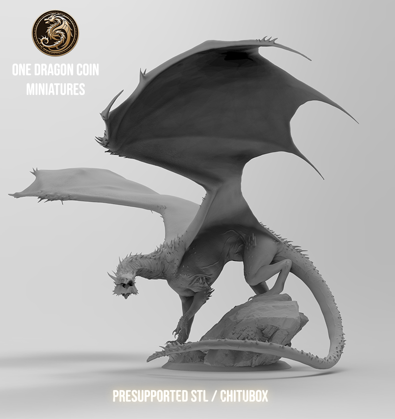 One Dragon Coin - Vorondax - DnD/TTRPG Figure/Miniature