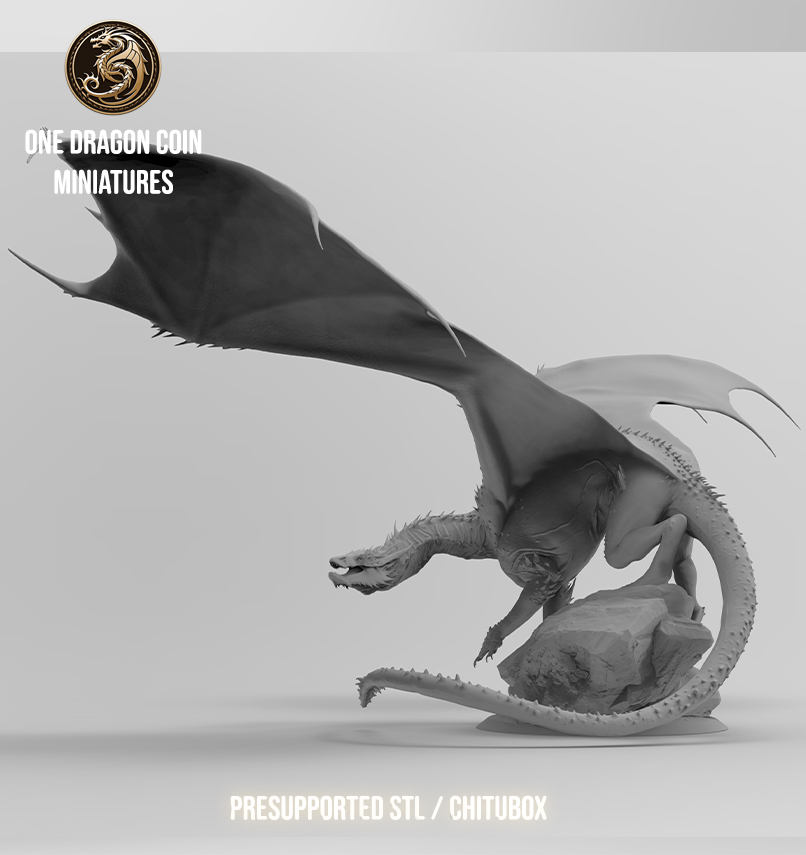 One Dragon Coin - Vorondax - DnD/TTRPG Figure/Miniature