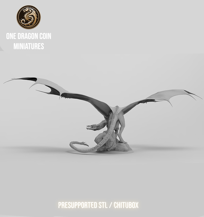 One Dragon Coin - Vorondax - DnD/TTRPG Figure/Miniature