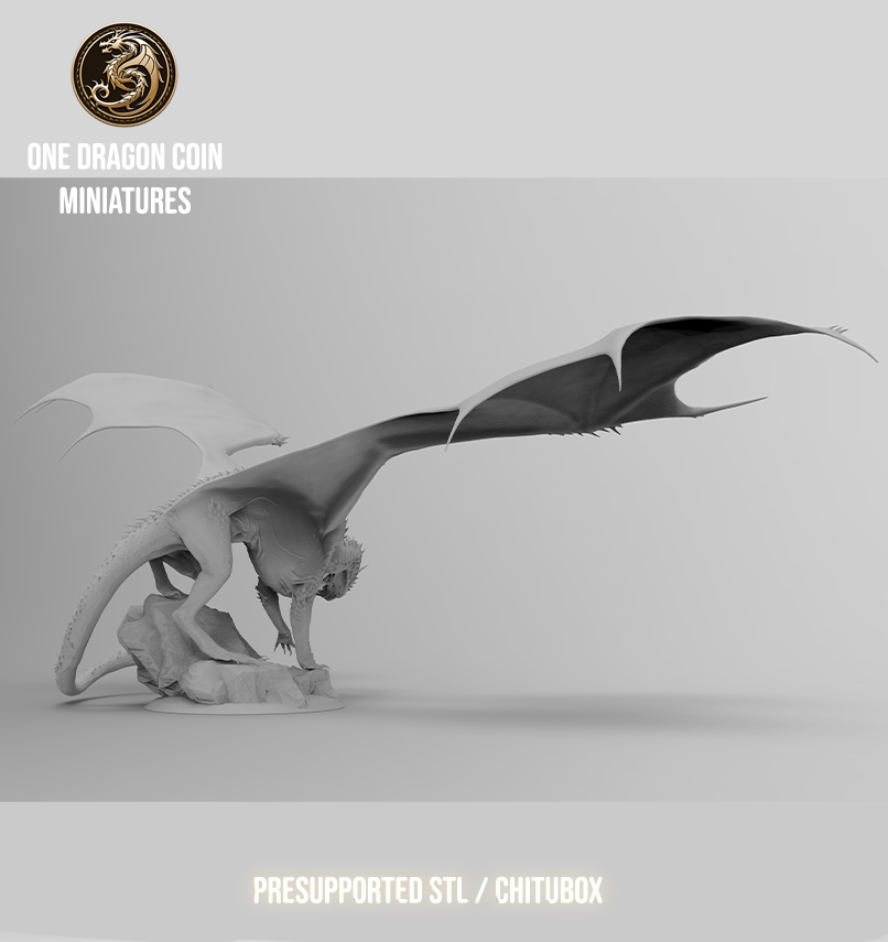 One Dragon Coin - Vorondax - DnD/TTRPG Figure/Miniature