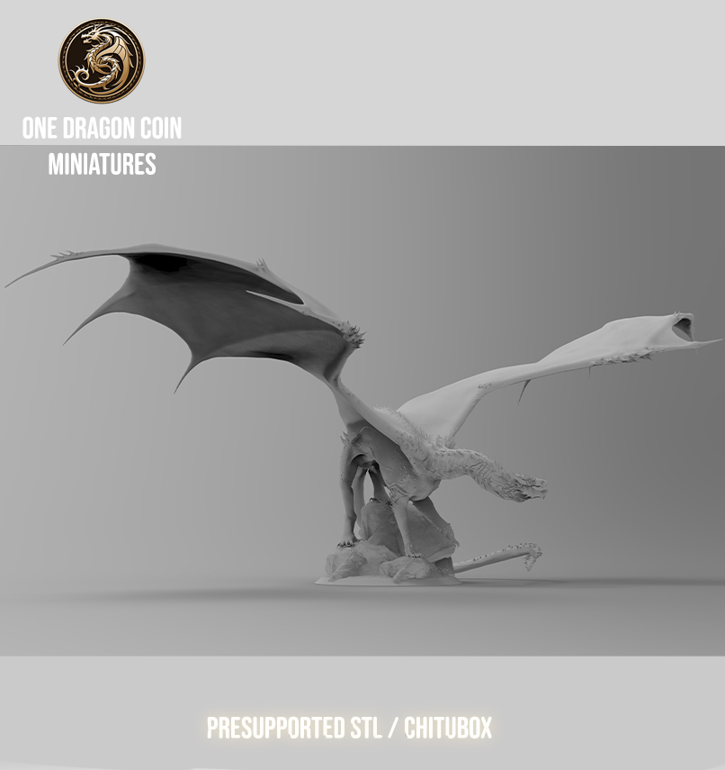 One Dragon Coin - Vorondax - DnD/TTRPG Figure/Miniature