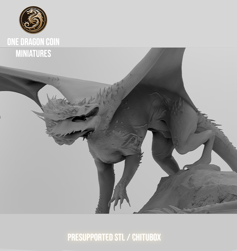 One Dragon Coin - Vorondax - DnD/TTRPG Figure/Miniature