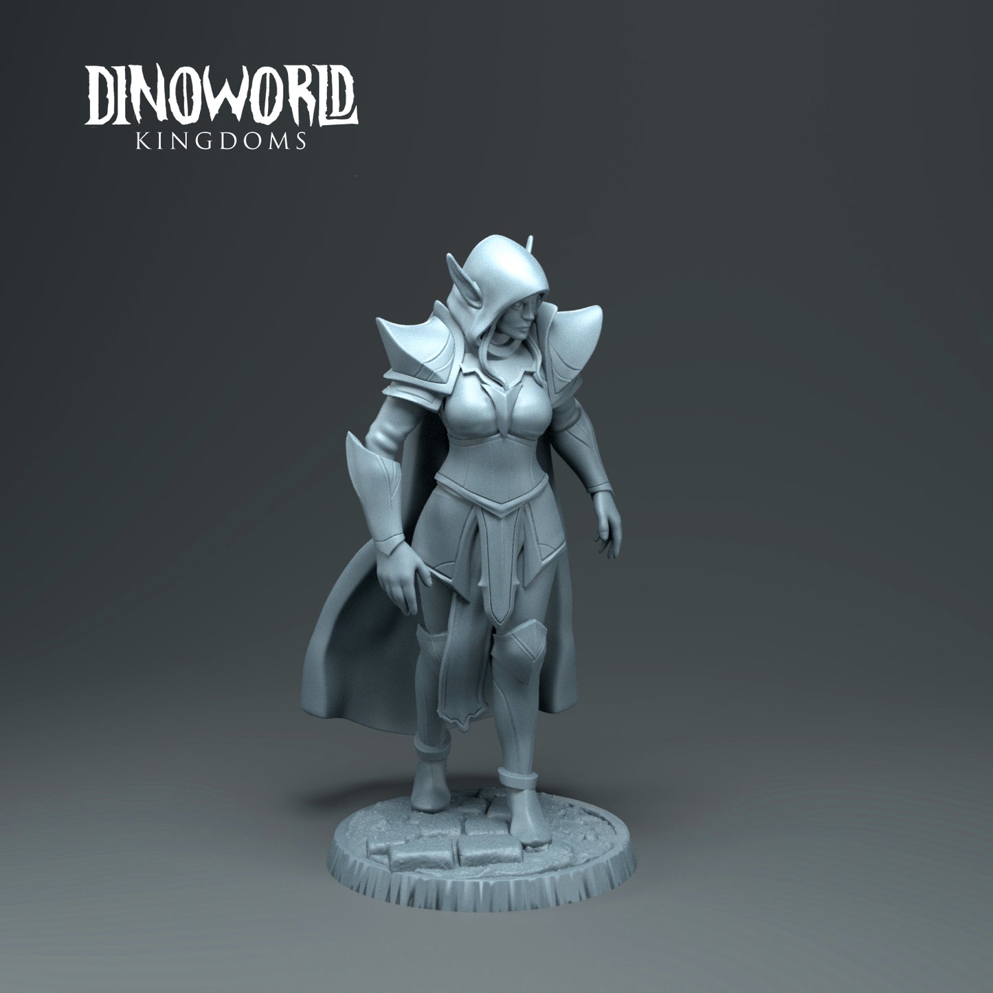 Dinoworld - Kingdoms - Dark Elf - DnD/Tabletop/TTRPG Figure Miniature
