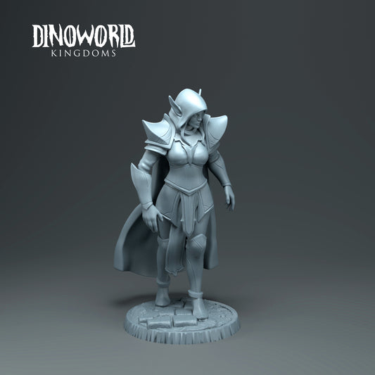 Dinoworld - Kingdoms - Dark Elf - DnD/Tabletop/TTRPG Figure Miniature