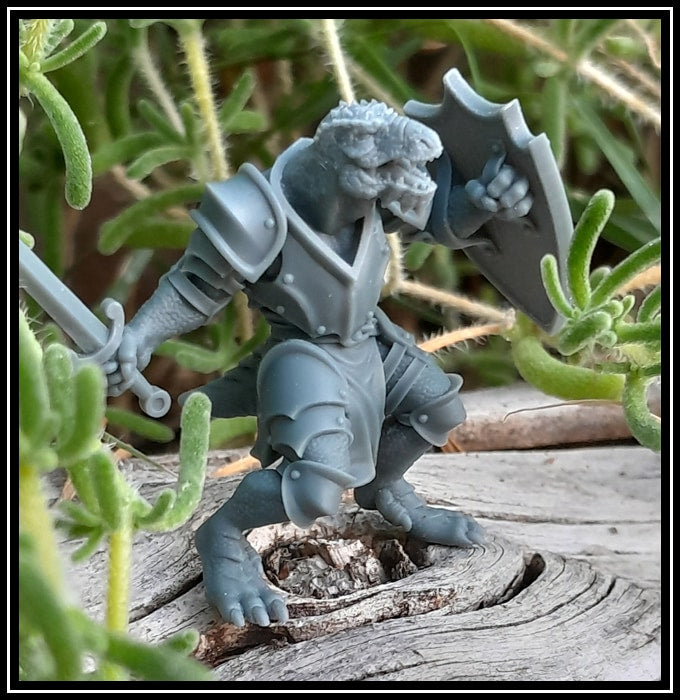 STL - Dragonborn Fighter - DnD/TTRPG Figure/Miniature