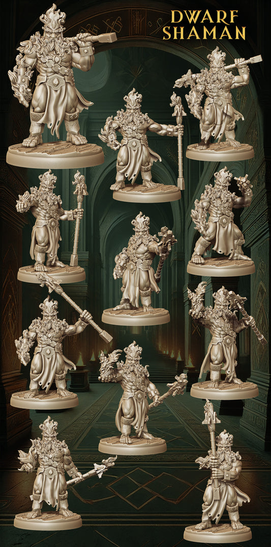 Monolith Arts - Dwarves - Shaman - DnD/TTRPG Figure/Miniature